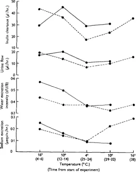 Fig. 2. Average values of urine flow, inulin clearance, rate of sodium excretion and intensity9) and unrefngerated