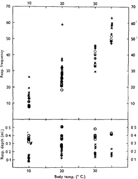 Fig. 3. The relationship between pulmonary ventilation, ml./min. (BTPS) and oxygen uptake,ml./hr