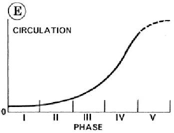 Figure 2: Changing levels of various forms of mobility through time: Circulation 