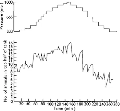 Fig. 5. Distribution of sixteen specimens of Sckittomynt sptritui under constant overheadillumination, with cyclical change of pressure by frequent small increments and decrements