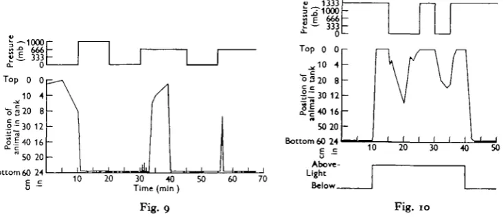 Fig. 9Fig. 10
