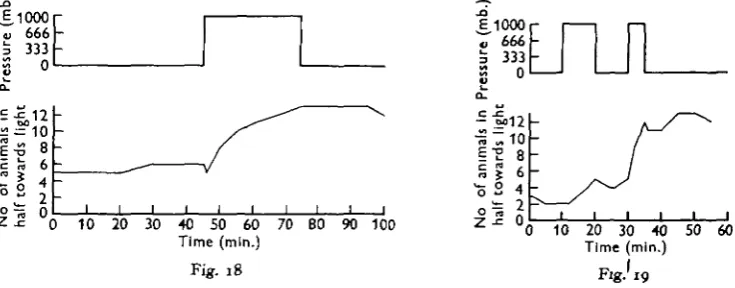 Fig. 18Time (min.)Fig.'19