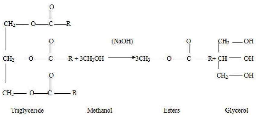 Fig 1. Transesterification reaction of a triglyceride  