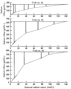 Fig. 7. The relation between the sodium influx and the external sodium concentration in threeanimals