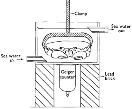 Fig. 1. The apparatus for the measurement of 24Na outflux.