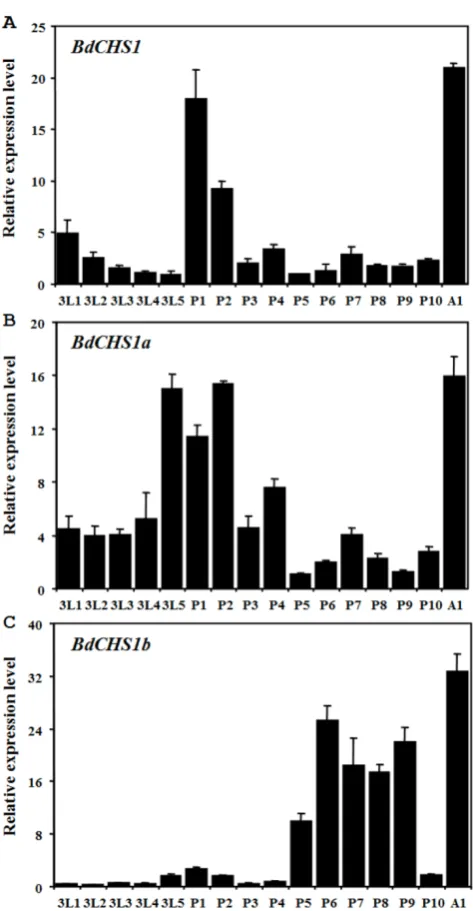 Figure 5. Relative expression levels of BdCHS1 and its two al-ternative splicing variants in different developmental stages of Bactrocera dorsalis