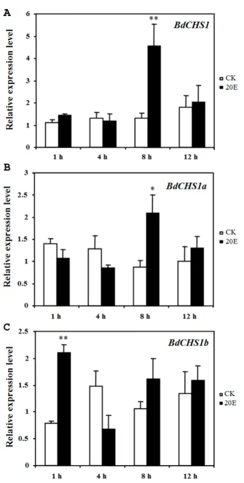 Figure 6. Relative expression levels of BdCHS1ternative splicing exons in different tissues of Expression levels in integument (IN), trachea (TR), midgut (MG), Mal- and its two al-Bactrocera dorsalis