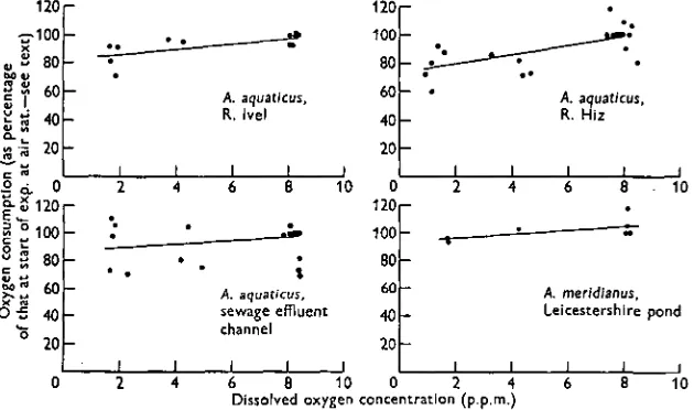 Fig. 8. Oxygen consumption of A. aqnaticus and A. meridianus from different habitatsat different dissolved-oxygen concentrations.