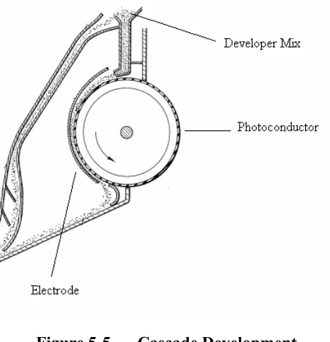 Figure 5-5 Cascade Development 