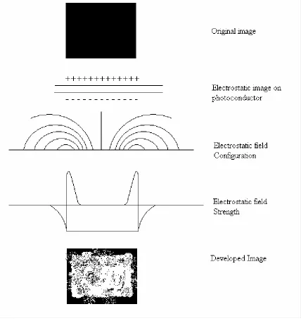 Figure 5-6 Solid Area Development 