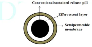 Figure 1: Multiple unit of oral FDDS 