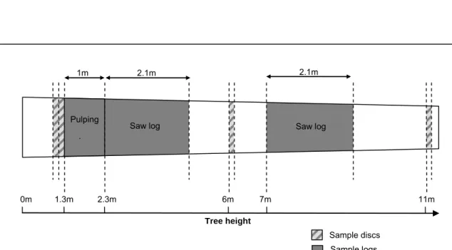 Figure 7: Log initial breakdown showing samples removed from each tree 