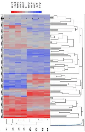 Figure 4.2.  Hierarchical clustering analysis. Hierarchical clustering analysis was performed in JMP 7 using the 87 significant transcripts