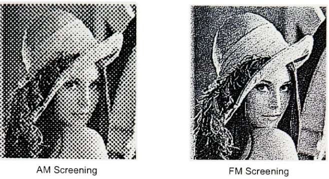 Figure 1. Examples of AM and FM screening