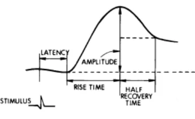 Figure 1.11. GSR waveform. 