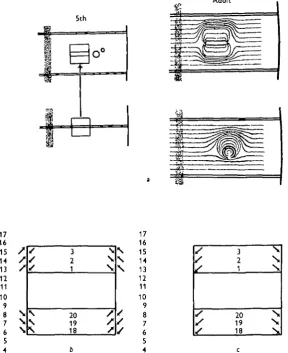 fig. 9, commonly occurred. The host pattern is distorted as predicted but the graftforms a single concentric pattern