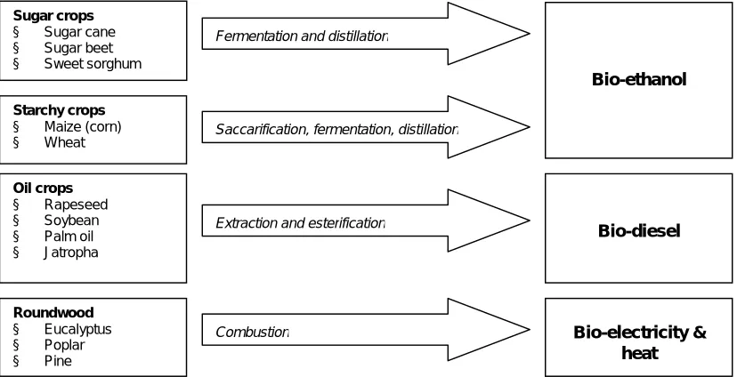 Figure 7: Crops and round wood types, conversion processes, and final energy carriers considered in this study  