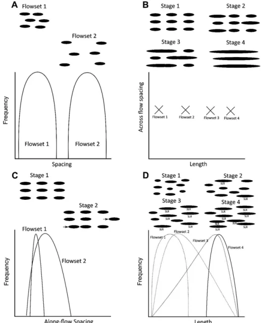 Figure 3D illustrates a conceptual model of drumlins initially coarsening (as in Figure 3B), but then reaching a size or spacing beyond which they can no longer grow