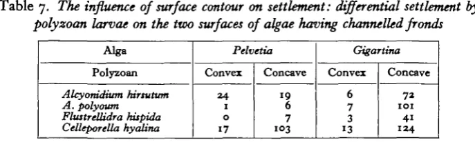 Table 7. The influence of surf ace contour on settlement: differential settlement by
