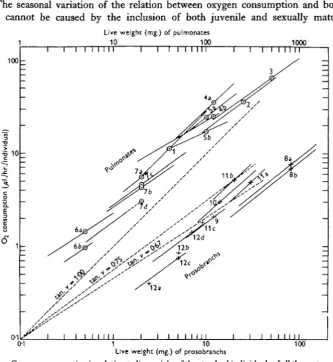 Fig. 4. Oxygen consumption in relation to live weight of the standard individuals of all the gastropodsLive weight (mg.) of prosobranchsstudied