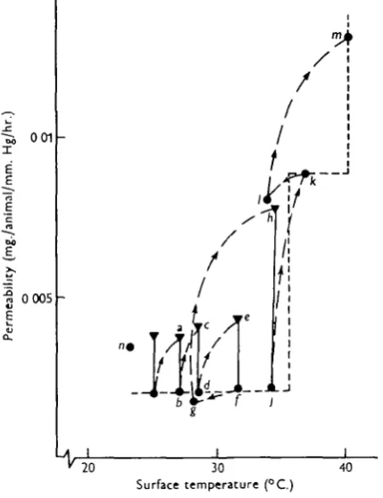 Fig. 11. The permeability /temperature relationship for a Tenebrio pupa at 34 hr. old