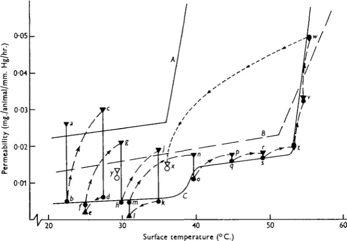 Fig. 13. Permeability/temperature curves for Caltiphora. A, puparium at 24 hr., having only thelarval wax layer