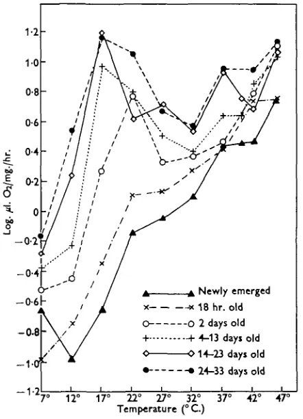 Fig. 3. Effect of age and temperature on oxygen uptake of adult workers (means).
