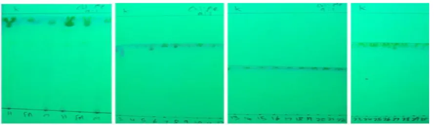 Figure 1: Isolation of compound through column chromatography 