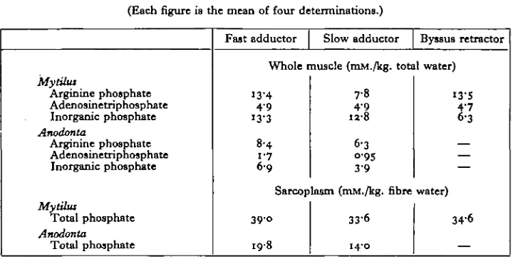 Table 9. Phosphate content of Mytilus and Anodonta muscle