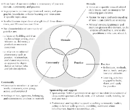 Figure 5.  Structural dimensions of a Community of Practice (Snyder & Briggs, 2003) 
