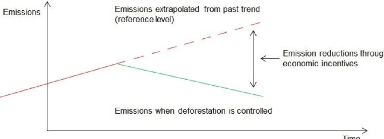 Figure 1: Reference level relevant for REDD+ projects. 