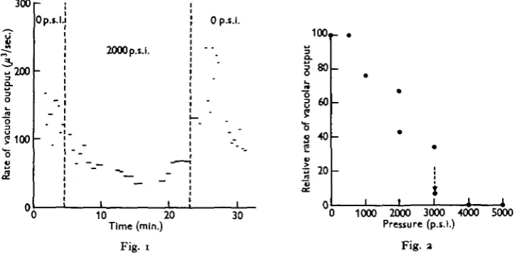 Fig. iFig. a