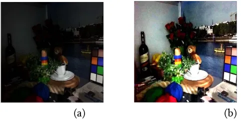 Figure 1. (a) low light image  (b) output image enhanced by sped up solver method. 