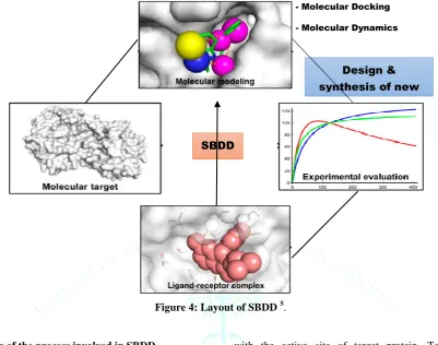 Figure 5: Steps involved in SBDD. 