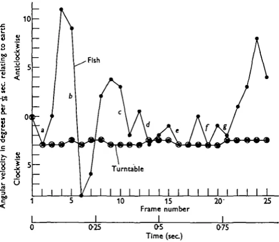 Fig. 7. Graphical presentation of the movements of the fish shown in Fig. 6.Full explanation in text.