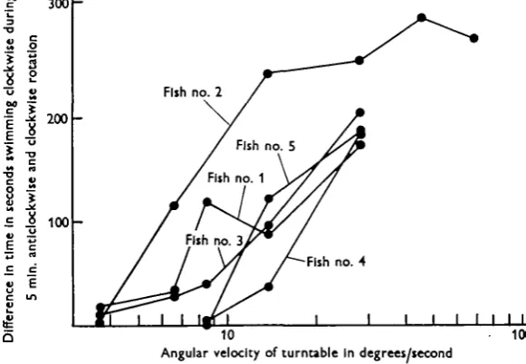 Fig. 2. Results of experiments made to determine the lowest angular velocityto which fish respond.