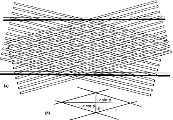 Fig. 4. A schematic representation of the basketwork structure of fibrils in the cuticle of Ascaris.(a) General diagram illustrating the orientation of two of the fibril layers in relation to two of thetransverse external annulations