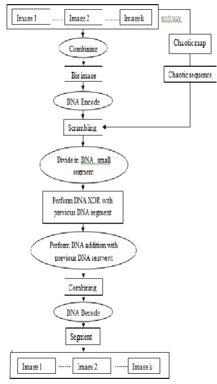 Figure 1. Flowchart For Proposed Model 
