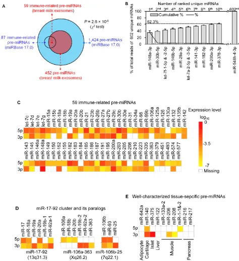 Figure 2. Distribution and characterization of miRNAs in breast milk exosomes. (A) Distribution of pre-miRNAs