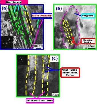 Figure 8. TEM Image of (a) Microbands (b) Stacking faults in Subgrain (c) Nano Twins within Thick Twins (Reprinted from [106]) 