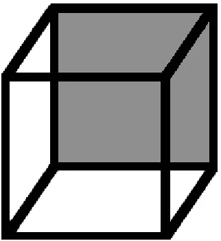 Figure 1. Necker Cube 