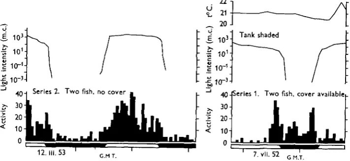 Fig. 2. The activity of minnows in relation to light intensity in the first two series of experiments.