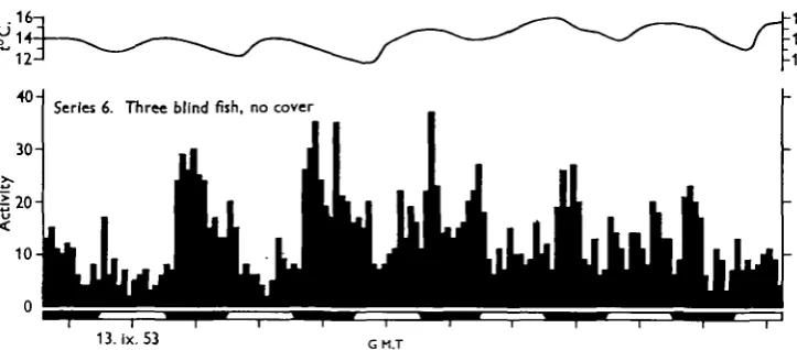Fig. 5. The response of a group of three blind minnows to normal variations in light intensity.