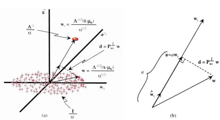 Figure 2.11:jection Illustration of SMF in normalized whitened w-space. (a) Shows the pro of a sample pixel w onto the target vector w^ to yield the abundance a