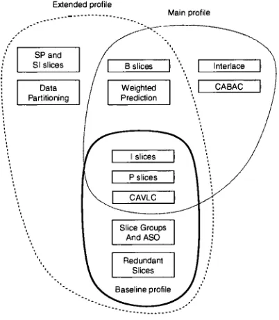 Figure 4: H.264 Standard Profiles"1