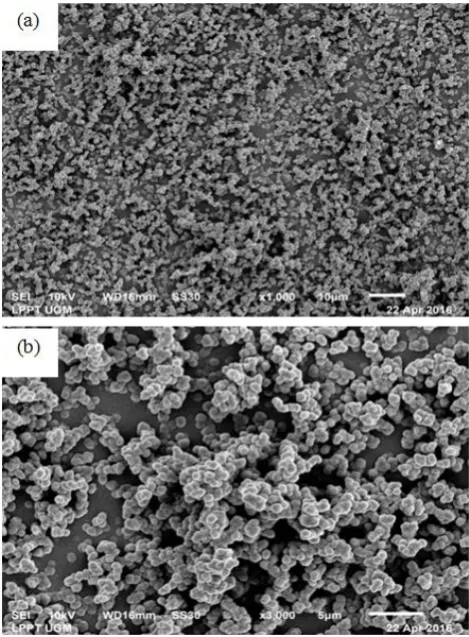 Figure 4. SEM images of the SnO2 layers with (a) 1000X and (b) 5000X magnifications 