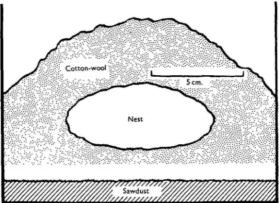 Fig. 1. Cage with lid removed, showing typical well-made nest.