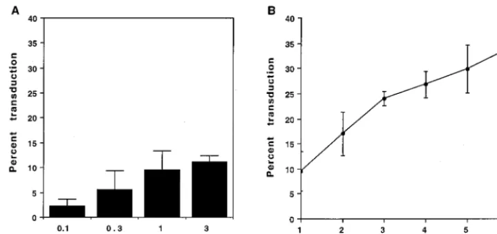 FIG. 1. Efﬁciency of 208F cell transduction following exposure to the LAPSN(PA317) vector