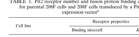 FIG. 5. Binding of labeled fusion protein in a volume of 1 ml at room temperature. (A) Binding as a function of time for different fusion protein concentrations