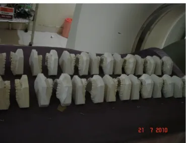 Fig. 2 : Models positioned in 3D CT Scanner 